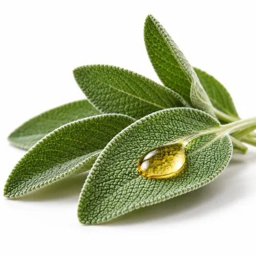 Foglie di salvia con una goccia d'olio
